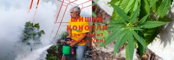 стафф Елизово