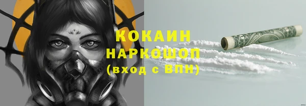 мяу мяу мука Ельня