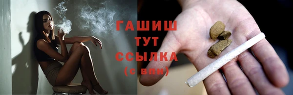 стафф Елизово