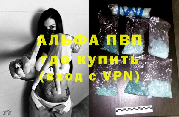 стафф Елизово