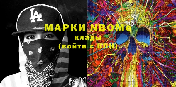 стафф Елизово