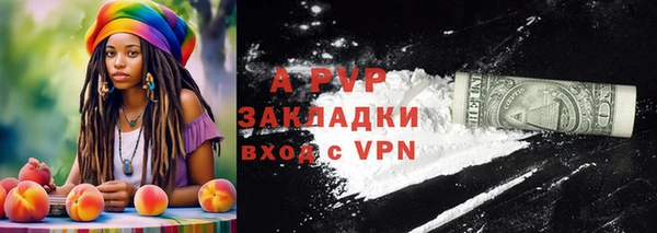 стафф Елизово