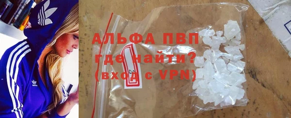 стафф Елизово