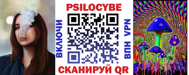 Псилоцибиновые грибы Cubensis  Купить  Истра 