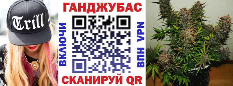 Купить закладки  Истра  Конопля тримм 